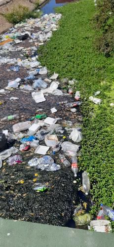 Piden limpieza para el canal de Tronconal Quinto en&nbsp;Barcelona