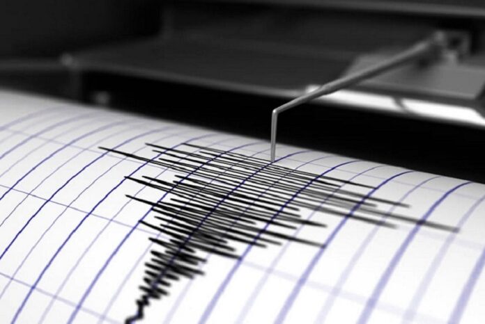 Sismo de 2.6 se registró en Puerto La&nbsp;Cruz