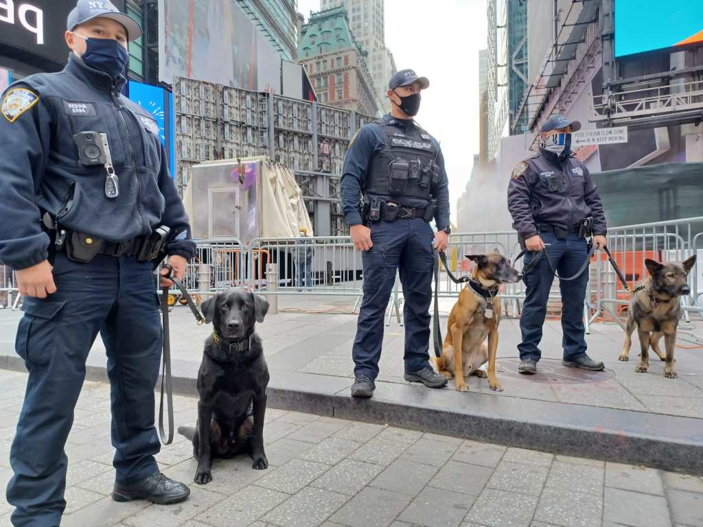 Venezolanas detenidas en Nueva York son vinculadas con el Tren de&nbsp;Aragua