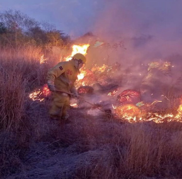 Iribarren registró 58 incendios durante enero, la mayoría&nbsp;ambientales