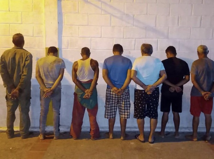 Aprehendidos 7 sujetos en Barcelona por presunta tala ilegal de árboles de&nbsp;Apamate