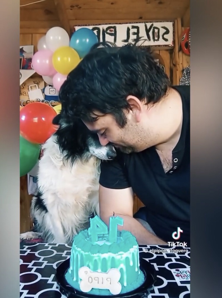 Un hombre celebró con emotivo vídeo los 14 años de su&nbsp;perro