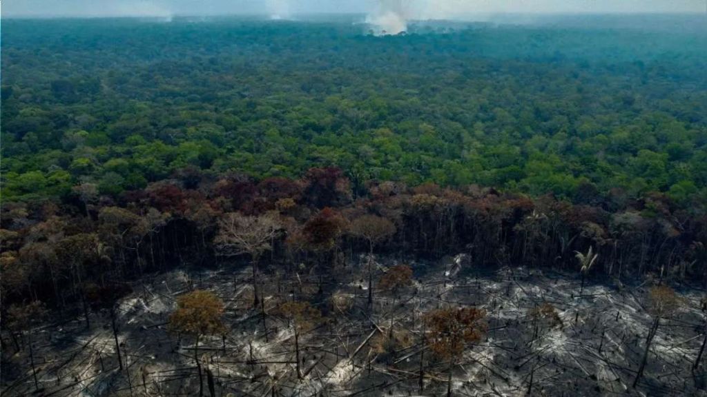 La mitad de la Amazonía puede desaparecer en 2050 y alterar el clima de toda la&nbsp;Tierra