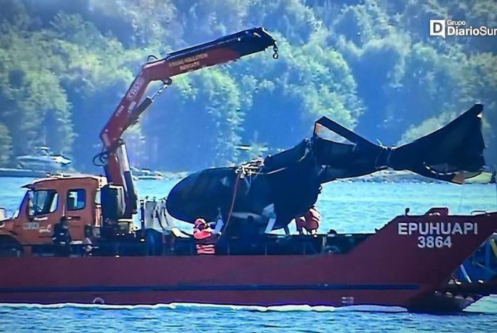 Mira cómo quedó el helicóptero donde murió Sebastián&nbsp;Piñera