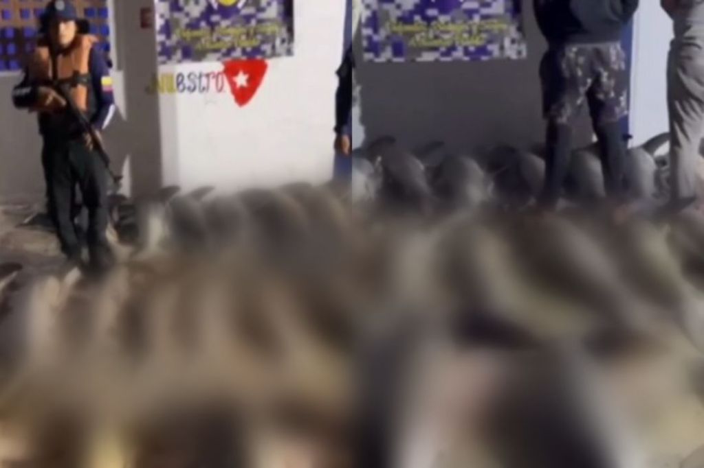 Tres ciudadanos fueron detenidos por pesca ilegal en&nbsp;Sucre