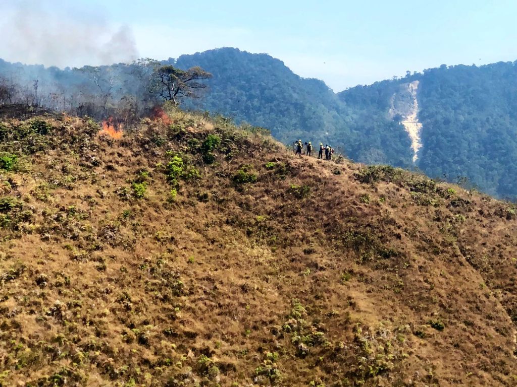 Continúan los incendios forestales en el Parque Nacional Henri&nbsp;Pittier