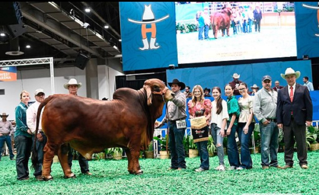 El venezolano César Castro logró el primer lugar de la Feria Internacional Brahman Show en&nbsp;Houston