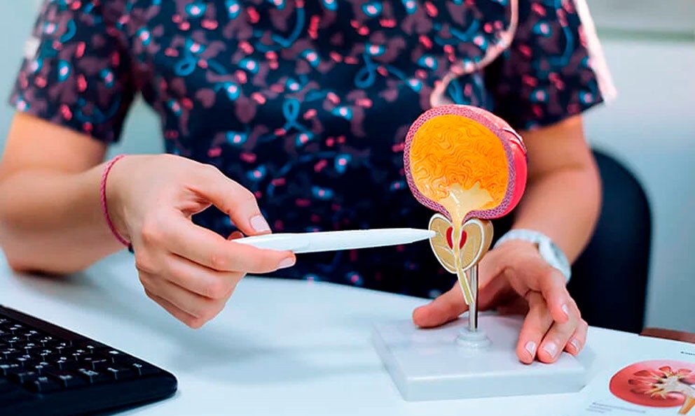 Científicos desarrollan un implante y una aplicación que ayuda a controlar el funcionamiento de la&nbsp;vejiga