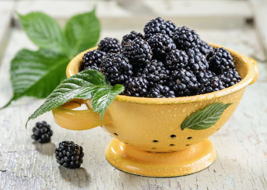 Conoce los beneficios de las moras para la&nbsp;salud