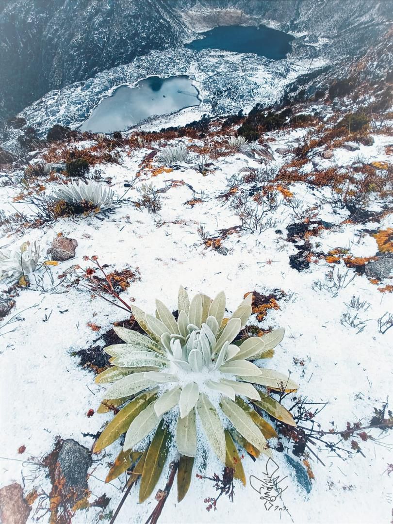 Nevó en la estación Loma Redonda del teleférico de&nbsp;Mérida