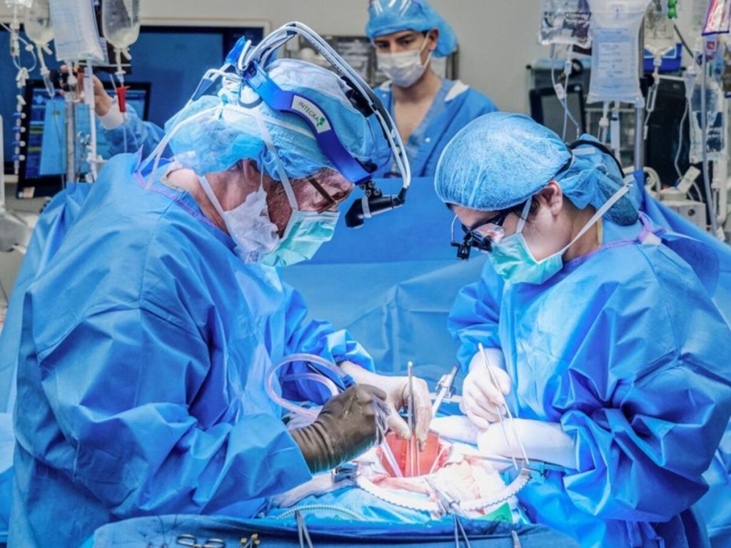 Una mujer en EE.UU recibió el primer trasplante combinado de riñón de cerdo y bomba&nbsp;cardíaca