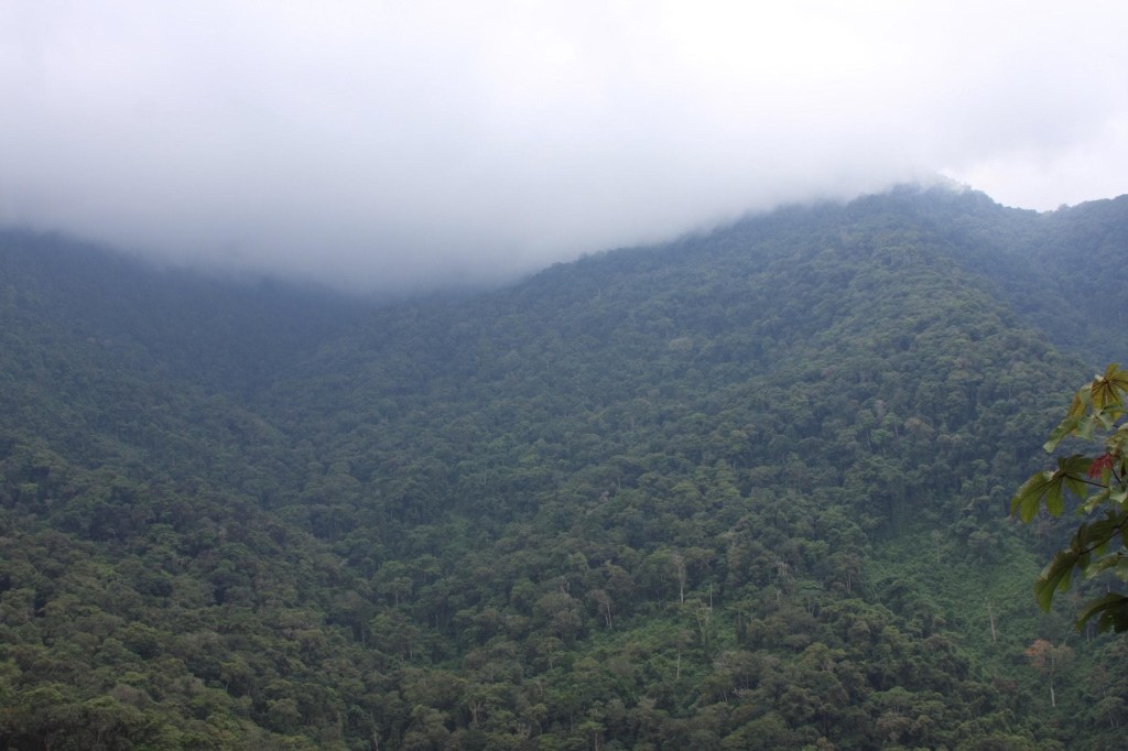 Inameh pronostica cielo nublado y lluvias en algunas zonas del&nbsp;país