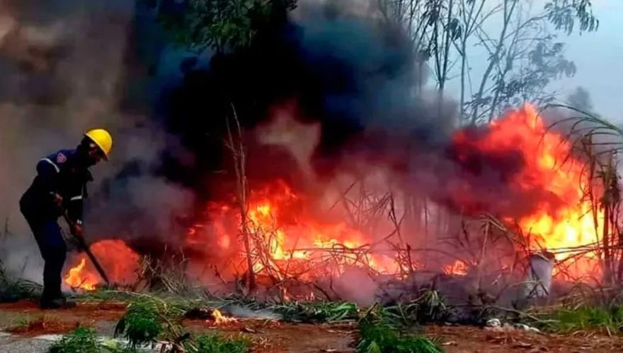 Más de 40 incendios forestales se han registrado en el país en menos de una&nbsp;semana