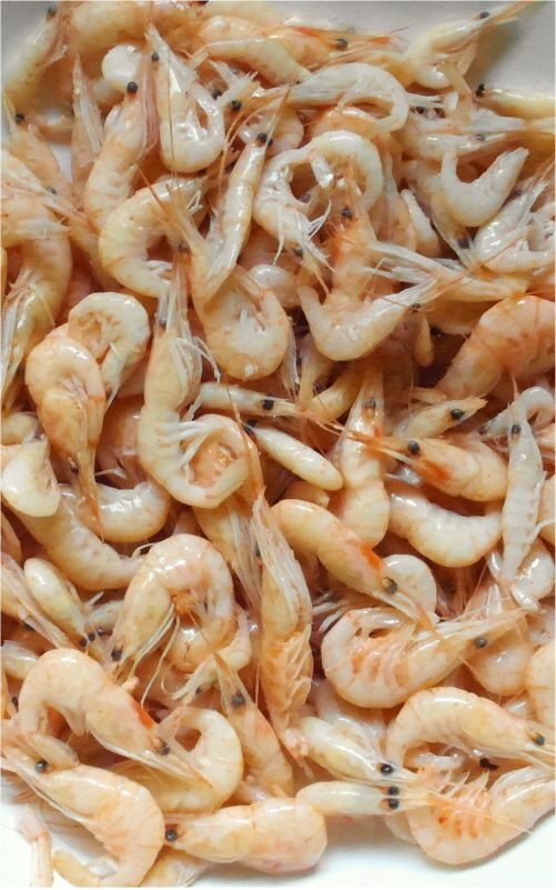 venezuela podría convertirse en uno de los mayores exportadores de camarones del mundo en&nbsp;2024