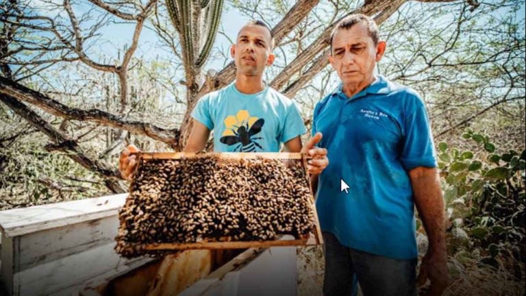 Padre e hijo venezolano se han convertido en promotores del agroturismo en&nbsp;Aruba