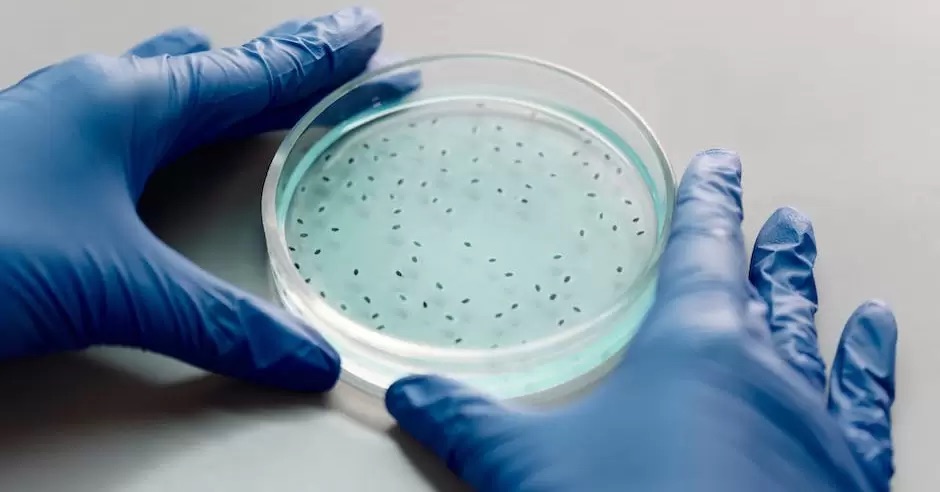 “Bacteria carnívora” mantiene en alerta sanitaria a&nbsp;Japón