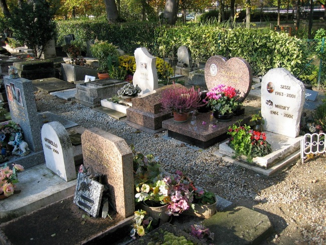 Abren en España el primer cementerio público de&nbsp;mascotas