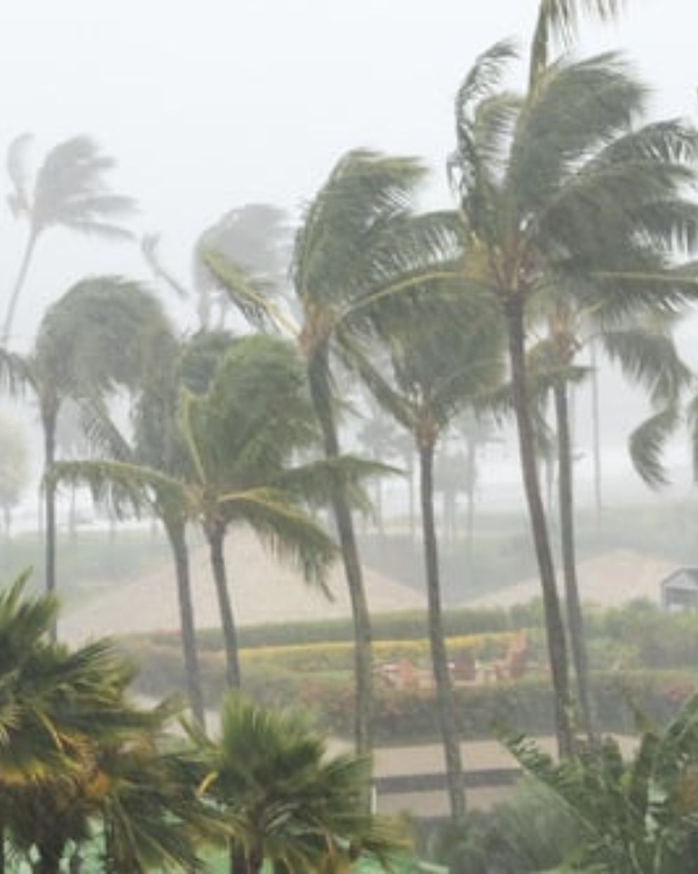 Autoridades en alerta ante inicio de temporada de ciclones&nbsp;tropicales