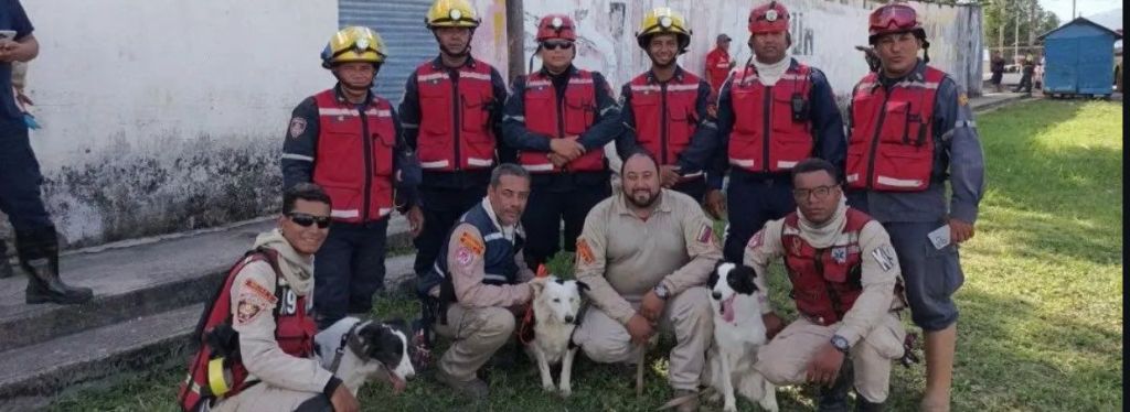 Equipo Canino inicia labores de búsqueda de desaparecidos en&nbsp;Cumanacoa