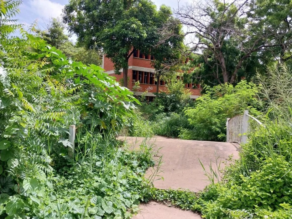 Estudiantes de la UDO reportan áreas de Cursos Básicos y Civil en mal&nbsp;estado