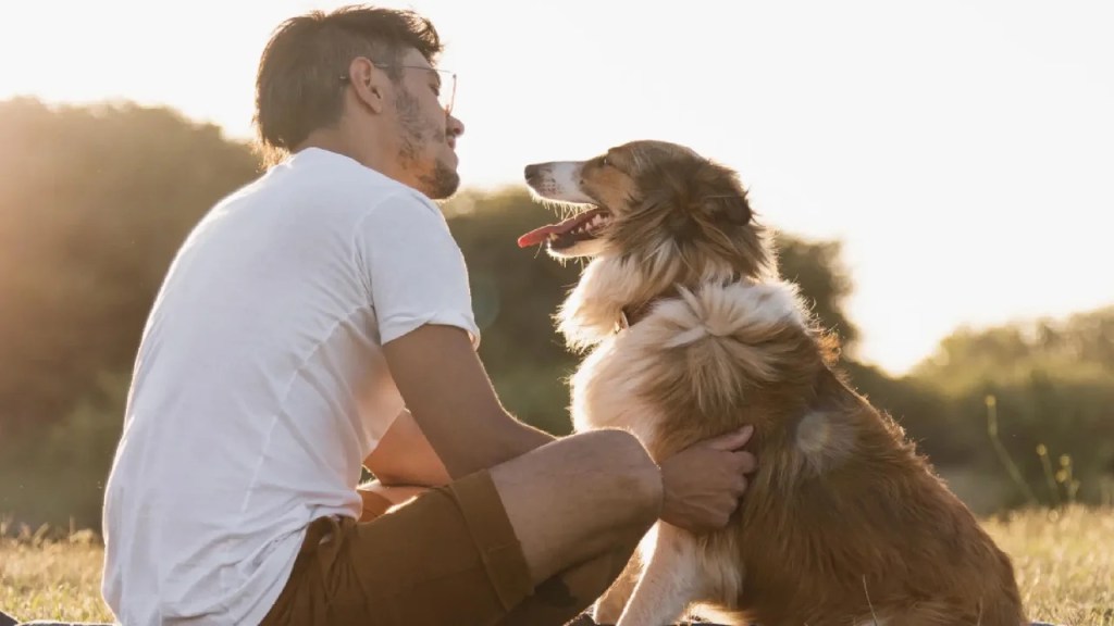 Según estudio, tener un perro reduce el riesgo de muerte prematura en un&nbsp;24%
