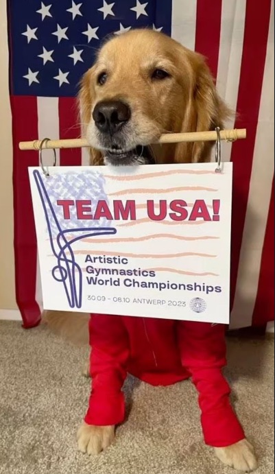 Beacon, el perro terapeuta que ayudó en la preparación de atletas&nbsp;estadounidenses