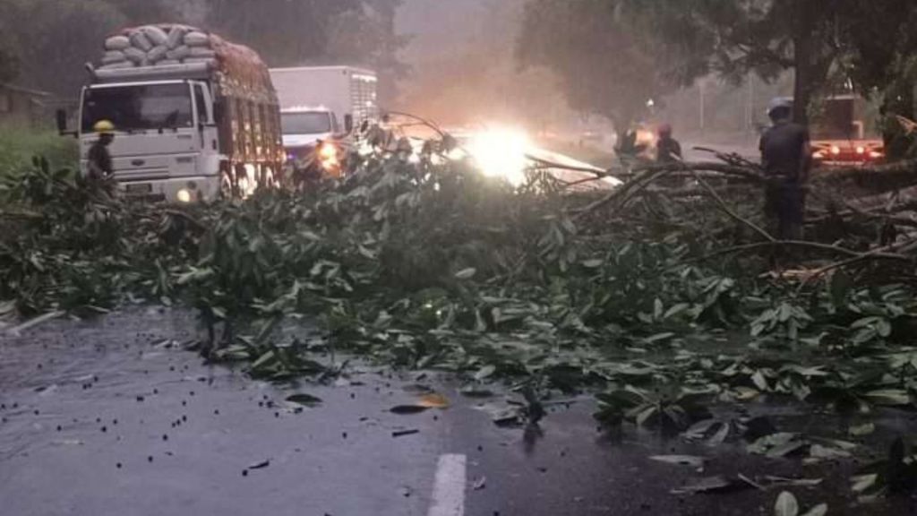 Lluvias en Trujillo ocasionaron falla de borde en la vía y caída de&nbsp;árboles
