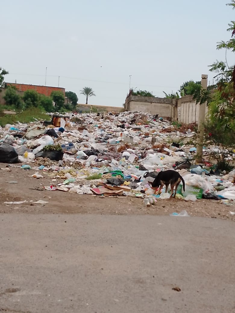 Denuncian que tienen más de 2 semanas sin recolectar la basura en Brisas del Mar en&nbsp;Barcelona