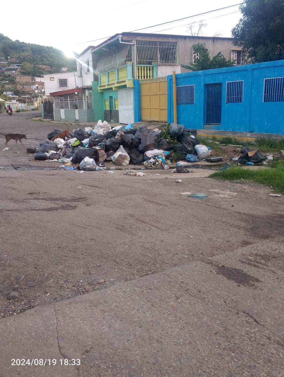 Denuncian que desde hace más de un mes no recolectan la basura en Bello Monte de Puerto La&nbsp;Cruz