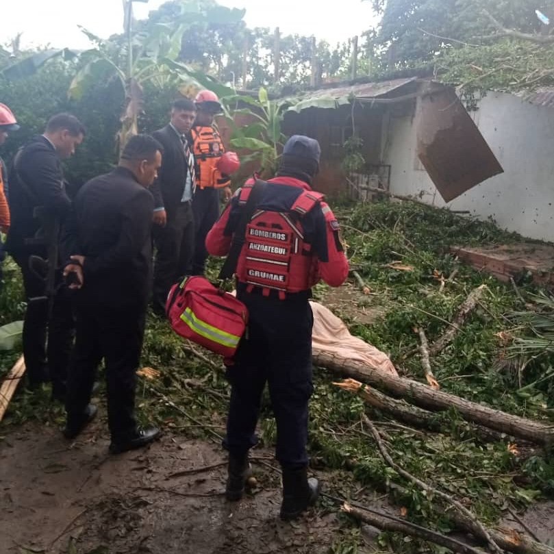 Caída de árbol en vivienda de San Diego deja un infante&nbsp;fallecido