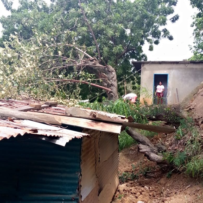 PC atendió reporte de caída de arboles en&nbsp;vivienda