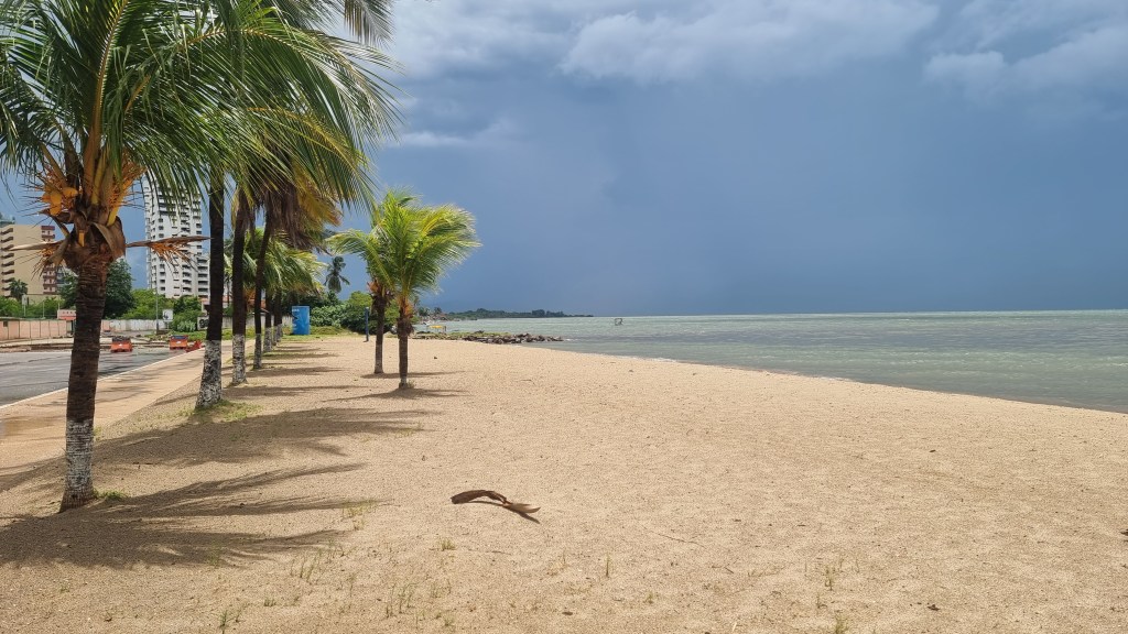 Fuerte brisa de este miércoles tumbó árboles y poste en&nbsp;Lechería