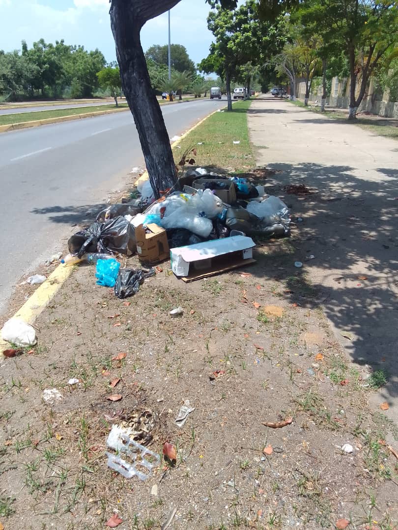 Vecinos de Puerto Morro y Doral Beach denuncian contaminación en la Av. Américo&nbsp;Vespucio