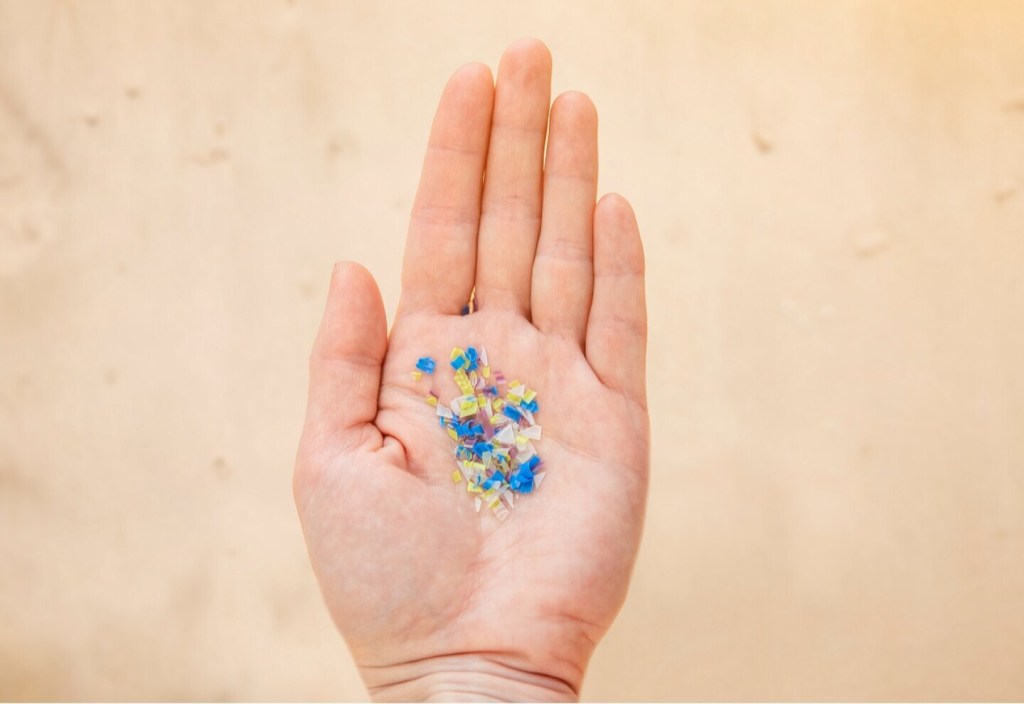 Descubren microplásticos en el cerebro humano a través de la&nbsp;nariz