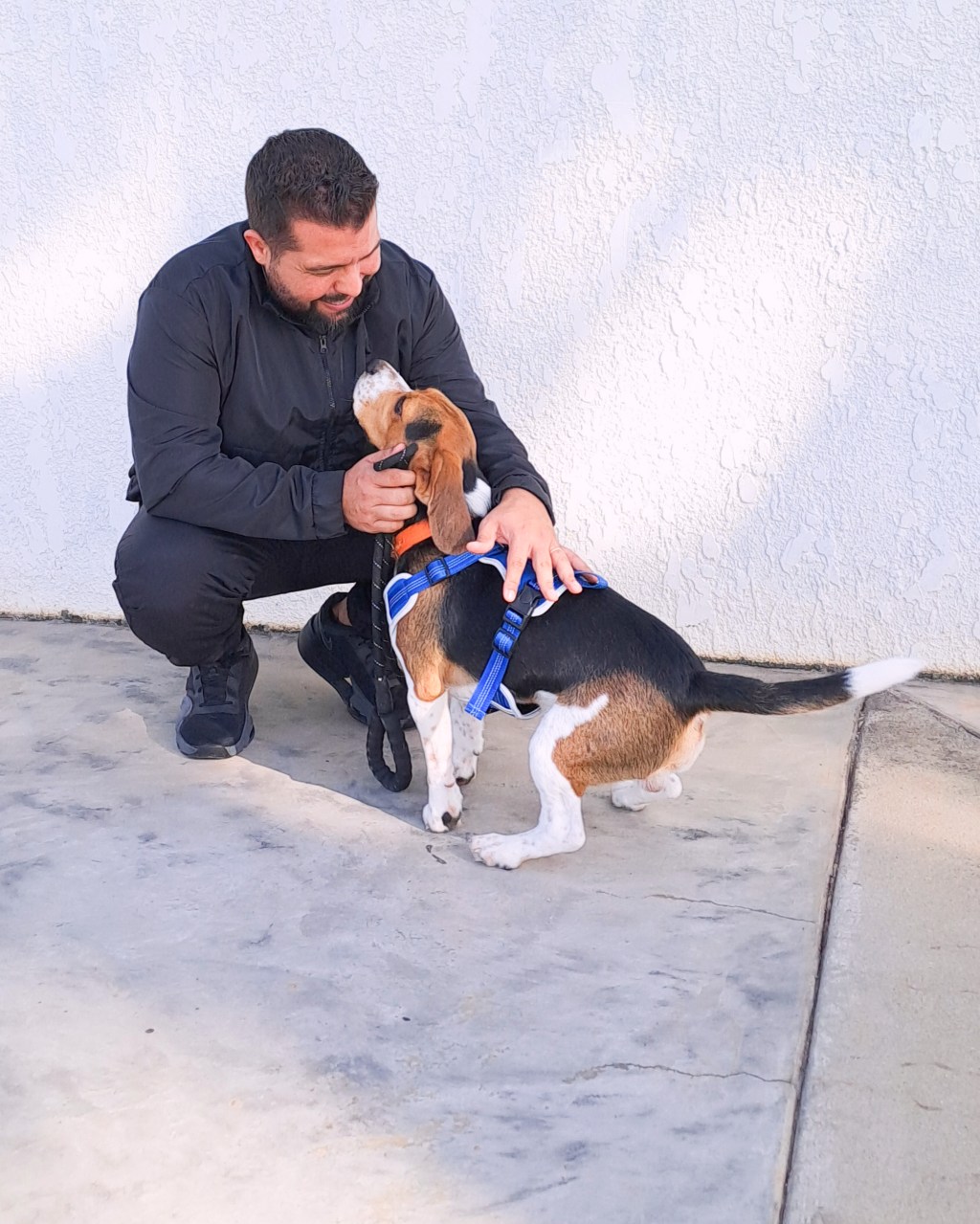 Si tu perro sufre “ansiedad por separación”, no puedes perderte el conversatorio de Educanes en El&nbsp;Tigre