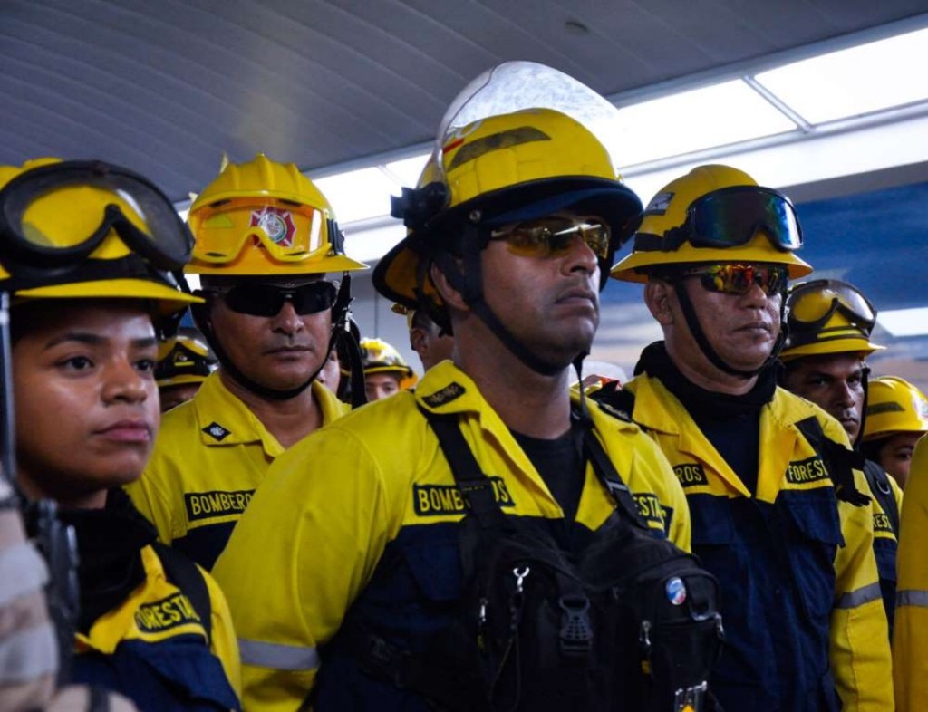 Bomberos venezolanos salvan a 100 especies de fauna silvestre en&nbsp;Bolivia