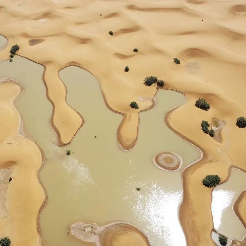 Lluvias inundaron el desierto del Sahara por primera vez en más de 50&nbsp;años&nbsp;