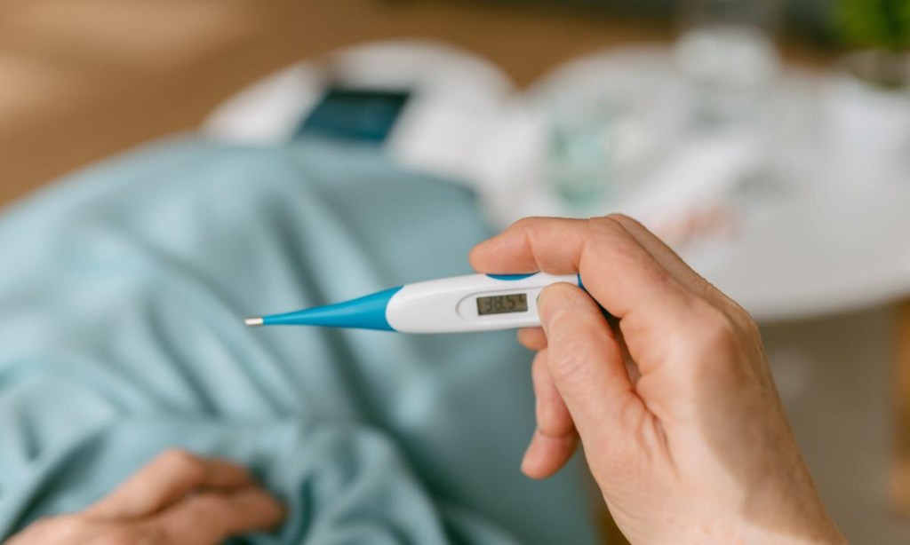 Adiós a los 36.6 grados: La ciencia cambia la temperatura corporal&nbsp;normal&nbsp;