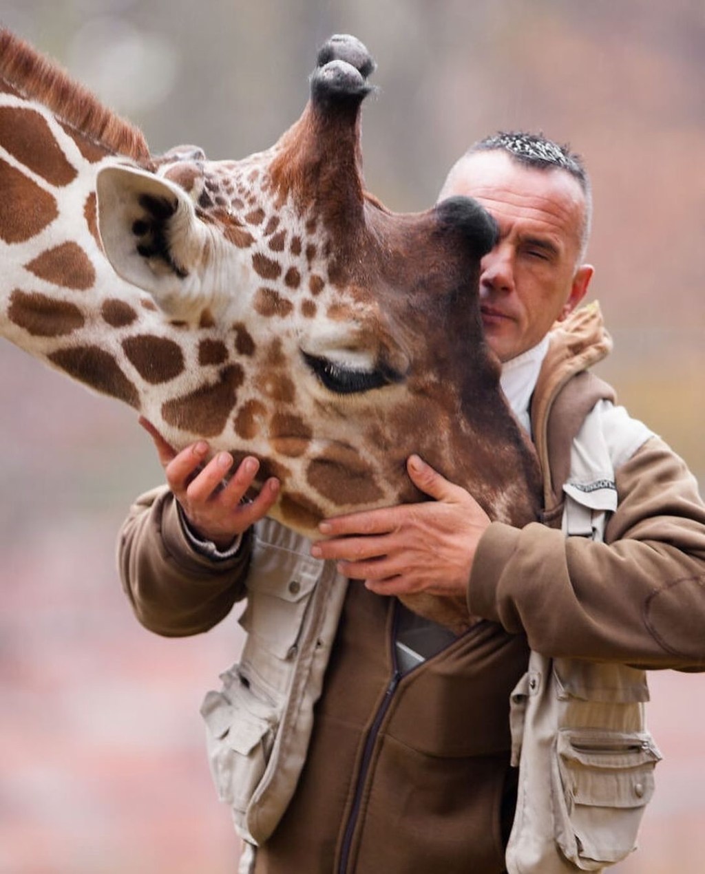 Un guardián de zoológico y su jirafa fallecieron el mismo&nbsp;día&nbsp;