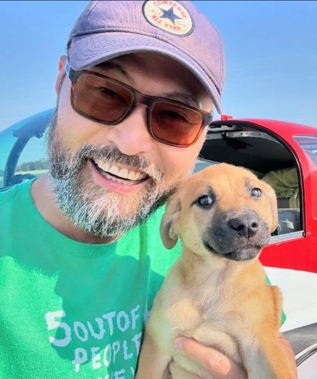 Piloto pierde la vida en trágico accidente aéreo mientras rescataba cientos de&nbsp;mascotas&nbsp;