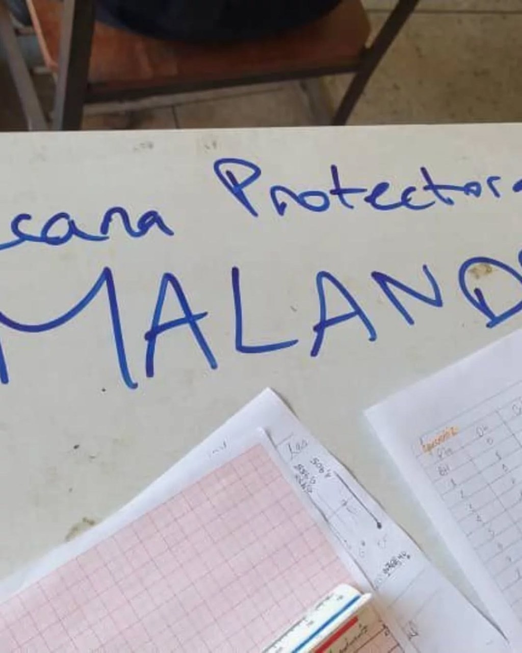 Vandalizan espacios en la&nbsp;UDO