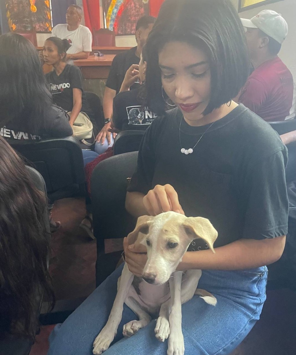 Promueven ordenanza para protección de las mascotas en&nbsp;Barcelona