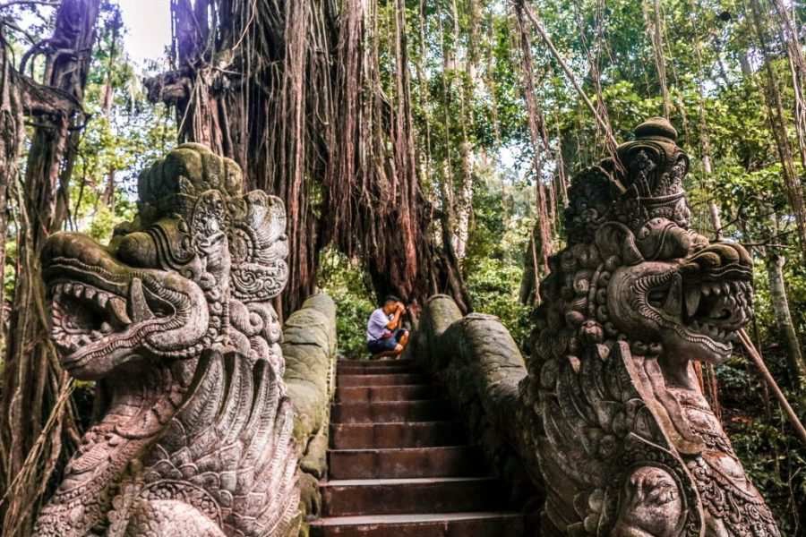 Tragedia en Indonesia: Dos turistas mueren tras la caída de árboles en el Bosque de los&nbsp;Monos