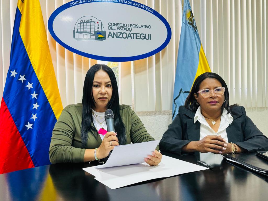 Cleanz instaló sus comisiones de trabajo&nbsp;permanente