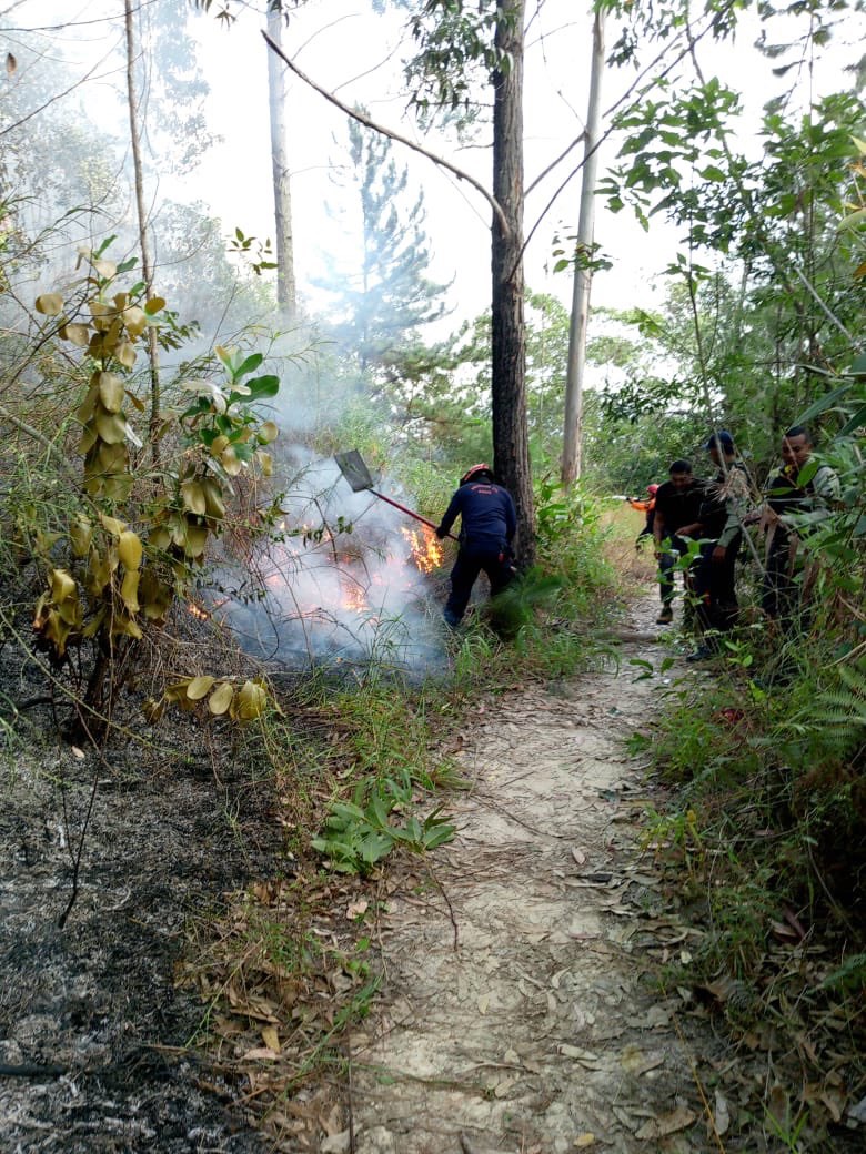 Tres militares fallecieron en siniestro de avioneta en La&nbsp;Boyera