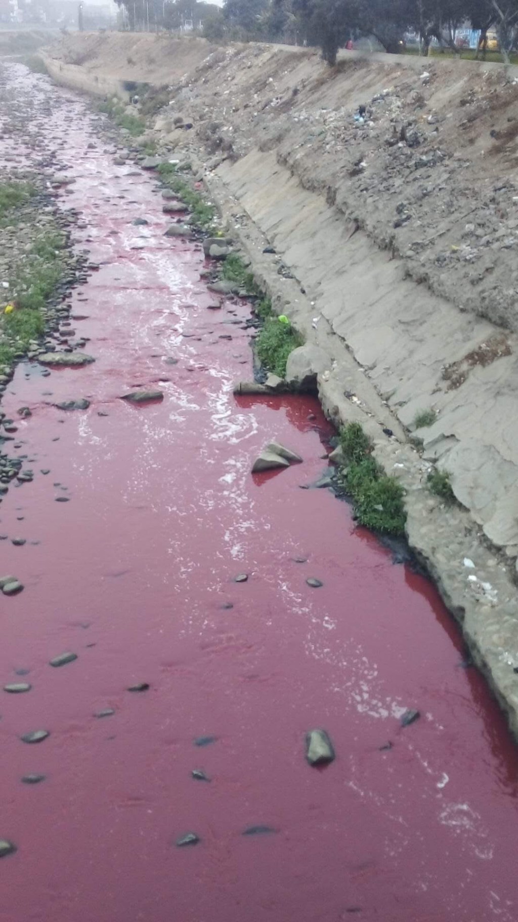 Alarma por inusual coloración roja del río Rímac en&nbsp;Lima