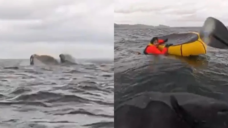 Joven venezolano fue tragado por una ballena y luego escupido en el Estrecho del&nbsp;Magallanes