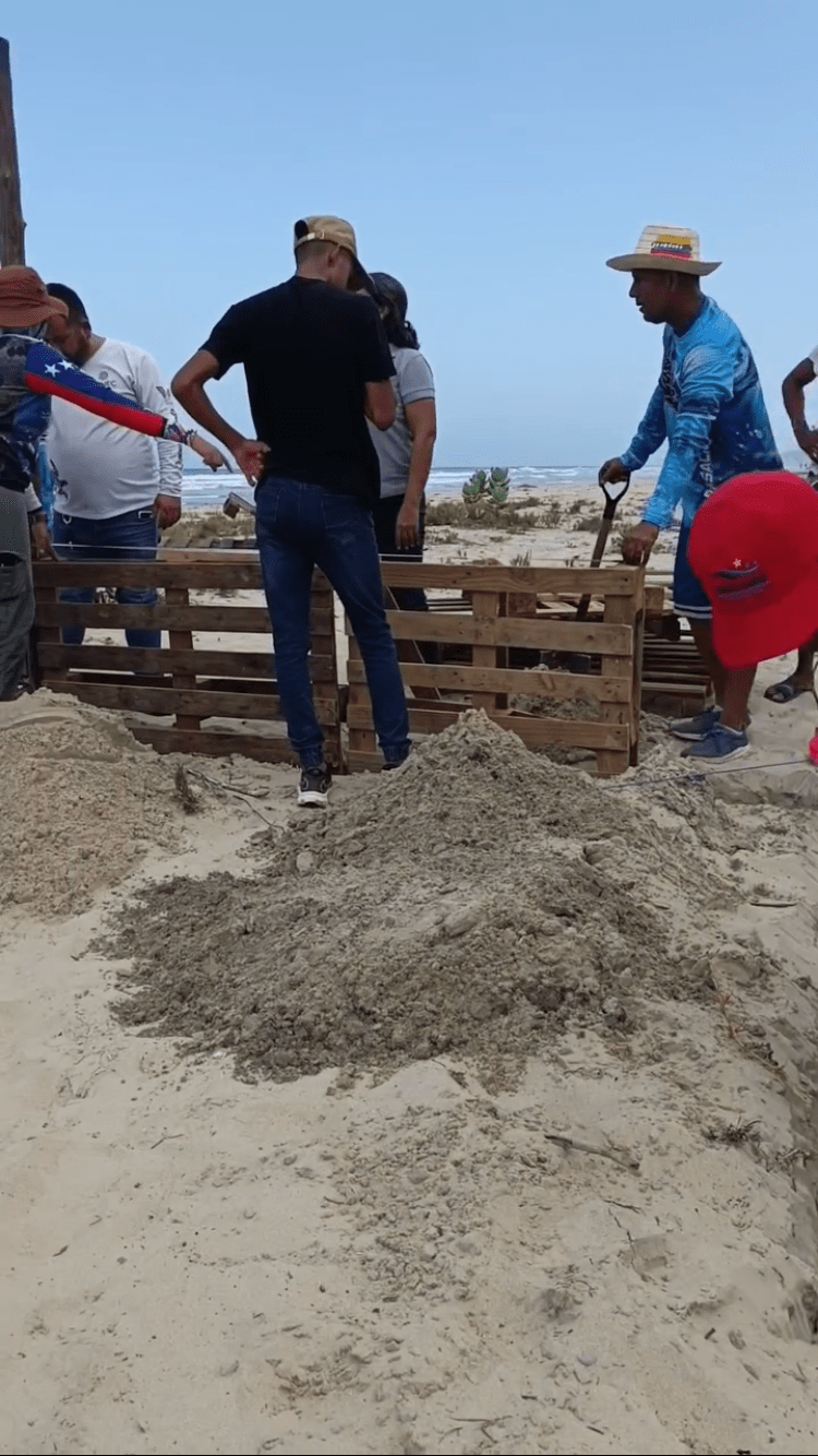 Inició la construcción del primer vivero de tortugas marinas en Playa&nbsp;Guacuco