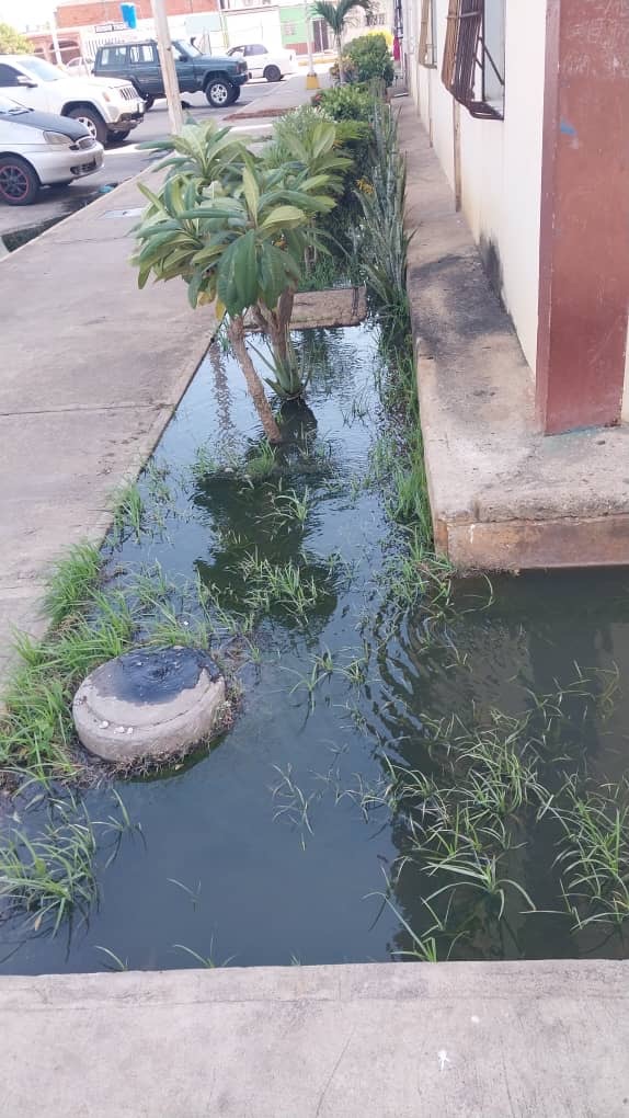 Habitantes del conjunto residencial Los Ángeles en La Cumanagoto denuncian colapso de aguas&nbsp;residuales