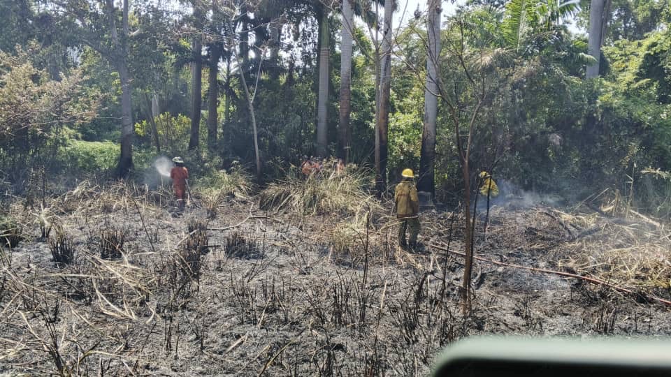 Incendio en Parque José Tadeo Arreaza de Guanta fue&nbsp;controlado